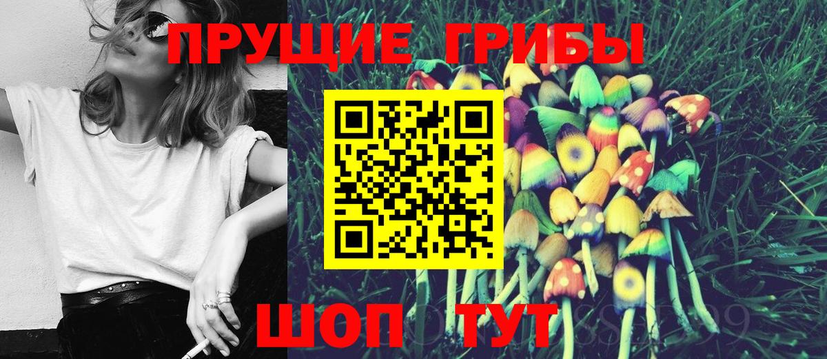 Псилоцибиновые грибы Magic Shrooms Санкт-Петербург