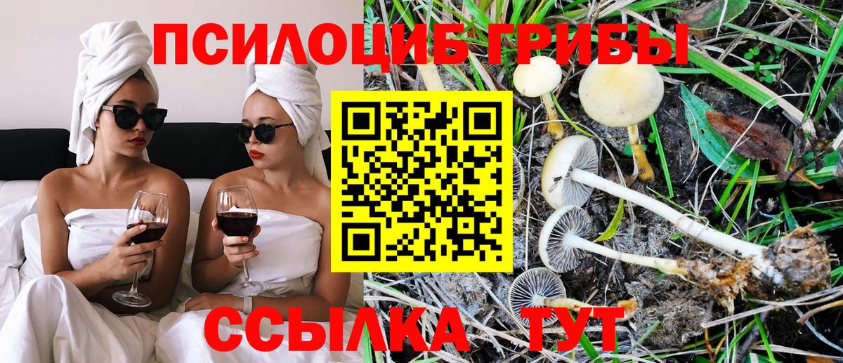 Псилоцибиновые грибы MAGIC MUSHROOMS  Вход с VPN  где найти   Санкт-Петербург 